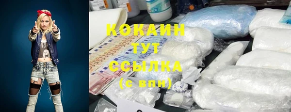 мдма Няндома