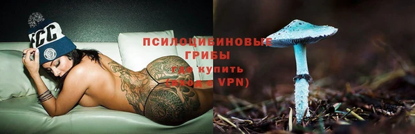 стафф Алзамай