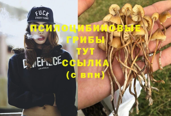 бошки Нязепетровск