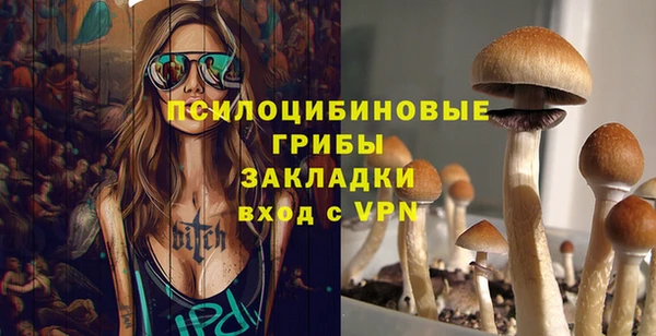 стафф Алзамай
