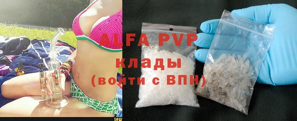 стафф Алзамай