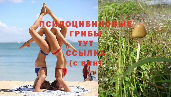 дурь Алексин