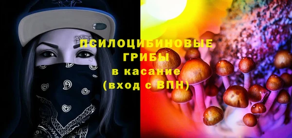 дурь Алексин