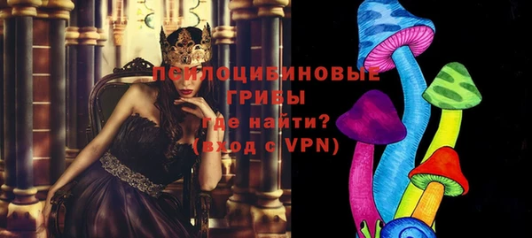 стафф Алзамай