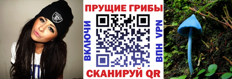 цены   Ковылкино  блэк спрут маркетплейс  Галлюциногенные грибы GOLDEN TEACHER 